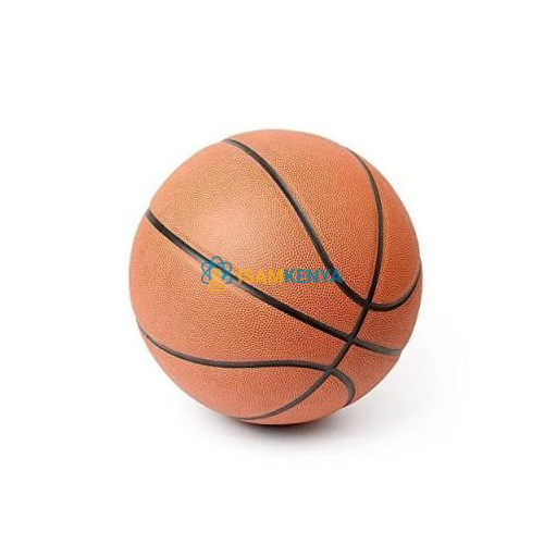 Basketball Professional Size