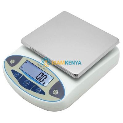 Precision Digital Scale