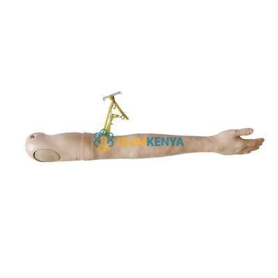 IV Training Arm Model