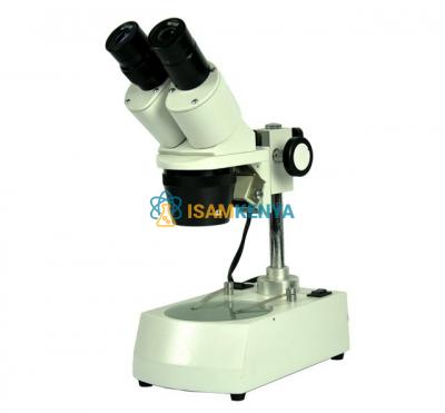LED Stereo Microscope