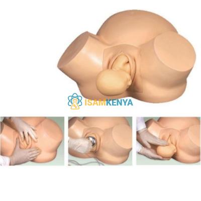 Midwifery Training Simulator Model