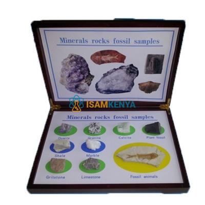 Minerals Rocks Fossil Samples Specimen