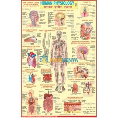 Special Human Physiology Charts