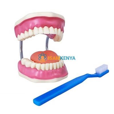 Tooth Hygiene Set