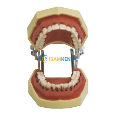 Tooth Hygiene Set with Tongue